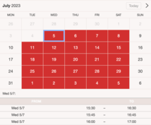 Example of a SuperSaaS widget-type schedule on a tablet device for mobile hairdressers