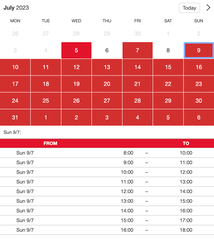 Example of a SuperSaaS widget-type schedule on a tablet device for boat rental