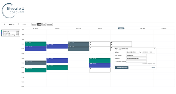 Example of a SuperSaaS schedule on a computer for coaching businesses