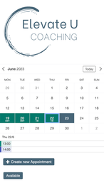 Example of a SuperSaaS schedule on a mobile device for coaching businesses