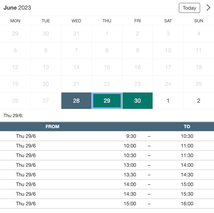 Example of a SuperSaaS widget-type schedule on a tablet device for coaching businesses