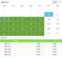Example of a SuperSaaS widget-type schedule on a tablet device for embassies & consulates