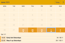 Example of a SuperSaaS widget-type schedule on a tablet device for events and seminars