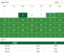 Example of a SuperSaaS widget-type schedule on a tablet device for golf courses & lessons