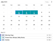 Example of a SuperSaaS widget-type schedule on a tablet device for yoga or pilates classes