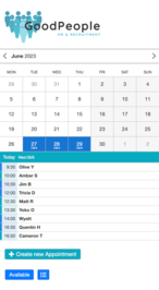Example of a SuperSaaS schedule on a mobile device for recruiters & HR departments