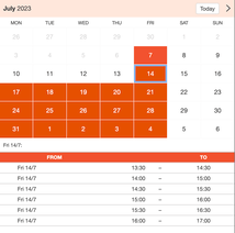 Example of a SuperSaaS widget-type schedule on a tablet device for language schools