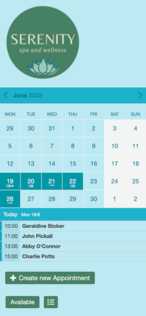 Example of a SuperSaaS schedule on a mobile device for spa & wellness