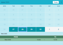 Example of a SuperSaaS widget-type schedule on a tablet device for massage therapy services