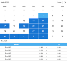 Example of a SuperSaaS widget-type schedule on a tablet device for therapy services