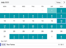 Example of a SuperSaaS widget-type schedule on a tablet device for sightseeing & tour services